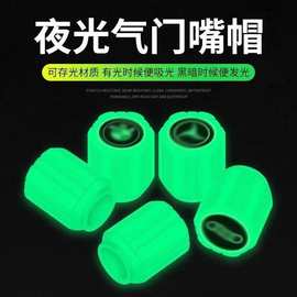 代马电动车气门嘴 守护骑行安全的隐形卫士